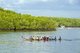 Thailand: A rowing team on the Krabi River, near Krabi Town and Ko Klang, Krabi Province